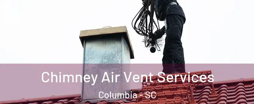  Chimney Air Vent Services Columbia - SC