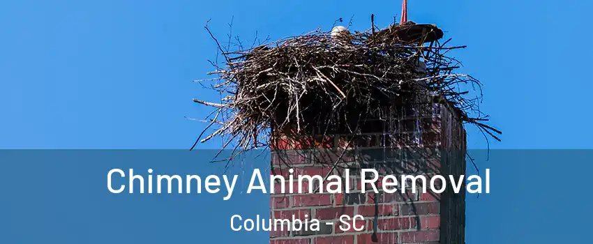  Chimney Animal Removal Columbia - SC
