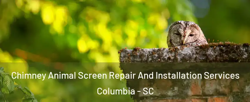  Chimney Animal Screen Repair And Installation Services Columbia - SC