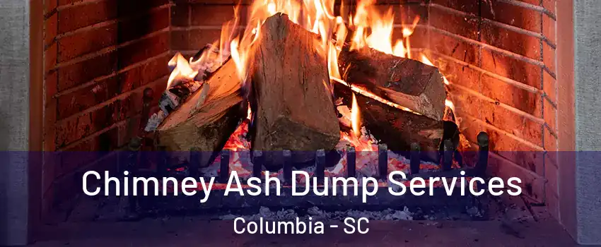  Chimney Ash Dump Services Columbia - SC