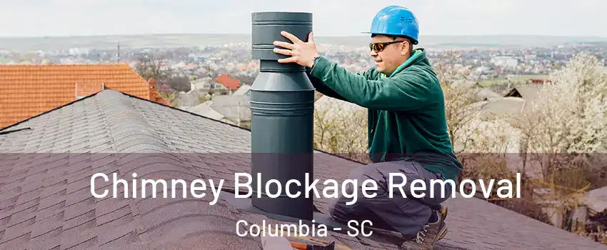  Chimney Blockage Removal Columbia - SC