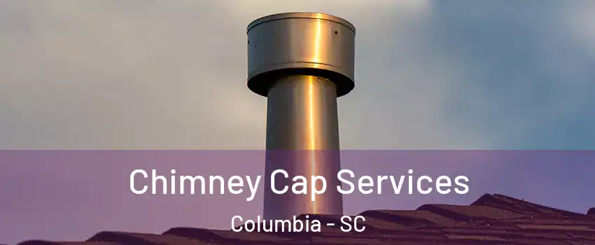  Chimney Cap Services Columbia - SC