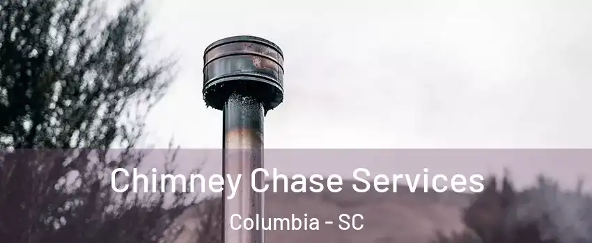  Chimney Chase Services Columbia - SC