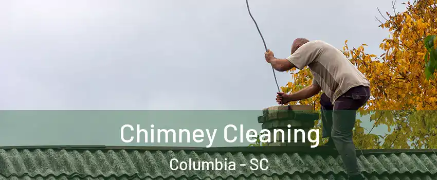  Chimney Cleaning Columbia - SC
