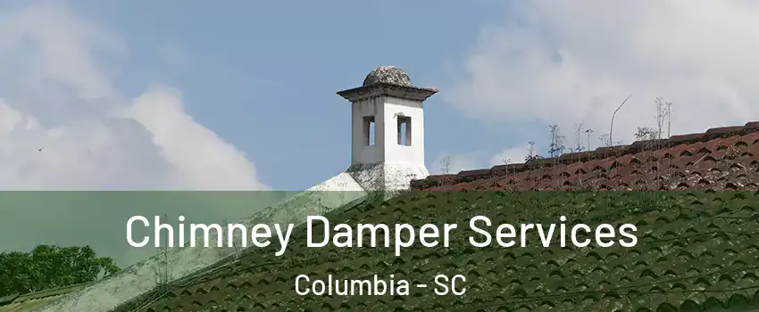  Chimney Damper Services Columbia - SC