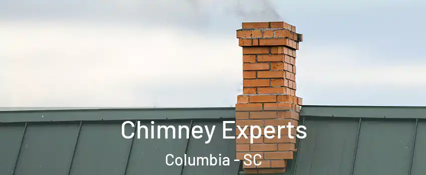  Chimney Experts Columbia - SC
