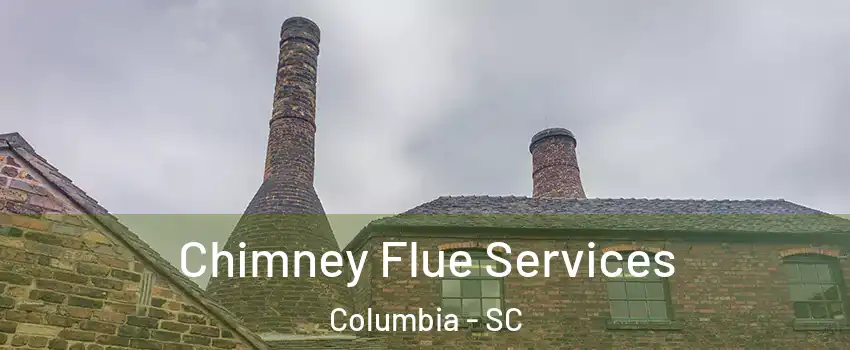  Chimney Flue Services Columbia - SC