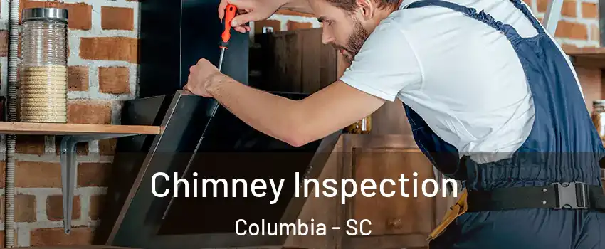  Chimney Inspection Columbia - SC
