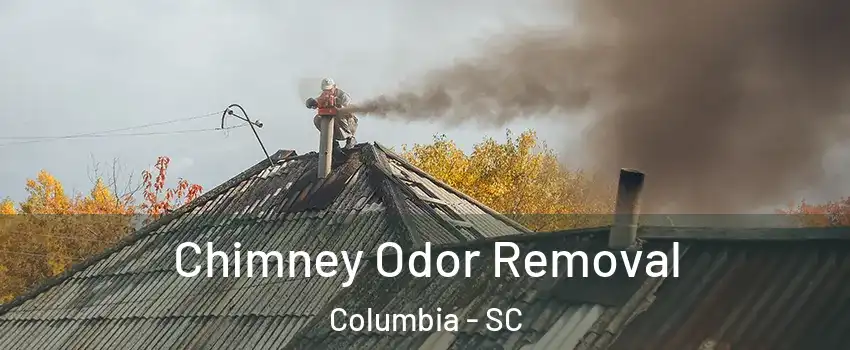  Chimney Odor Removal Columbia - SC