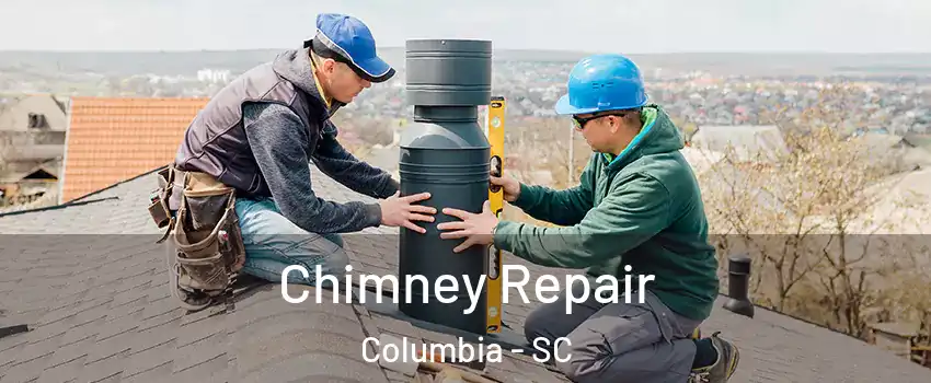  Chimney Repair Columbia - SC