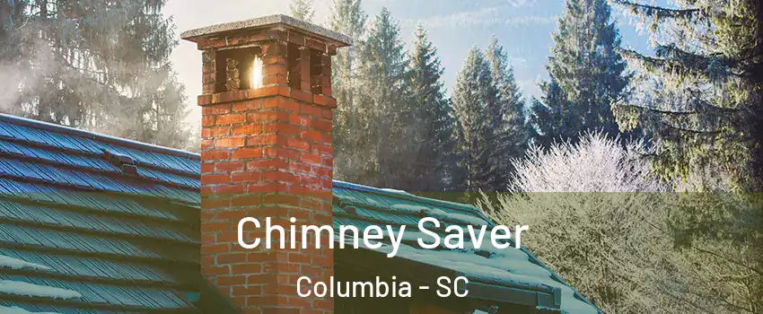  Chimney Saver Columbia - SC