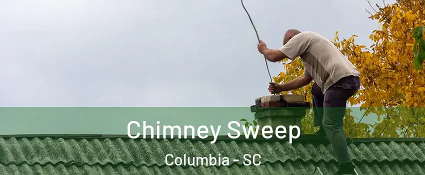  Chimney Sweep Columbia - SC