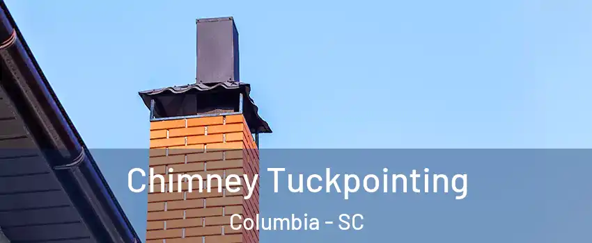  Chimney Tuckpointing Columbia - SC