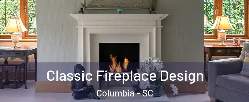 Classic Fireplace Design Columbia - SC
