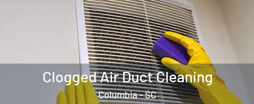  Clogged Air Duct Cleaning Columbia - SC