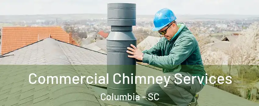 Commercial Chimney Services Columbia - SC