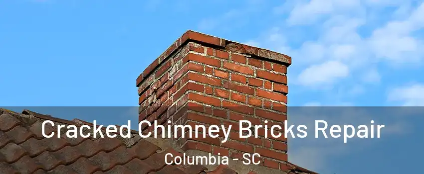  Cracked Chimney Bricks Repair Columbia - SC