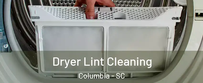  Dryer Lint Cleaning Columbia - SC
