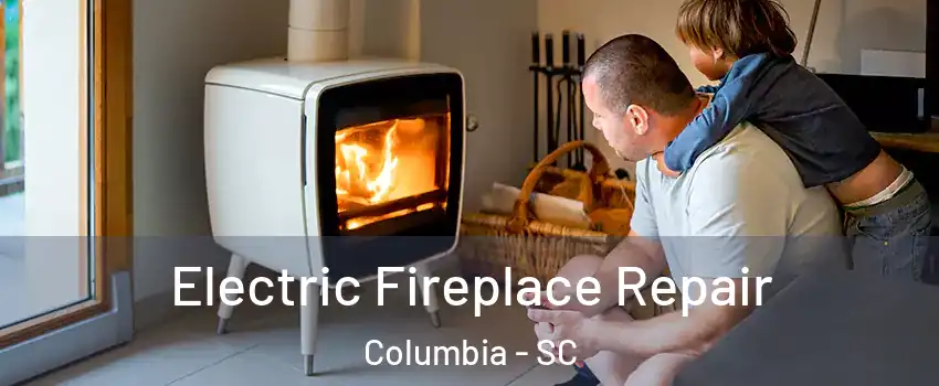  Electric Fireplace Repair Columbia - SC