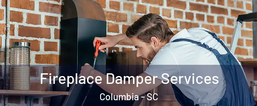  Fireplace Damper Services Columbia - SC