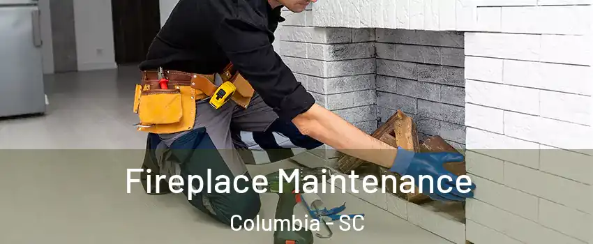  Fireplace Maintenance Columbia - SC
