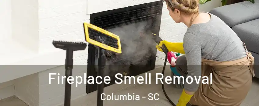  Fireplace Smell Removal Columbia - SC