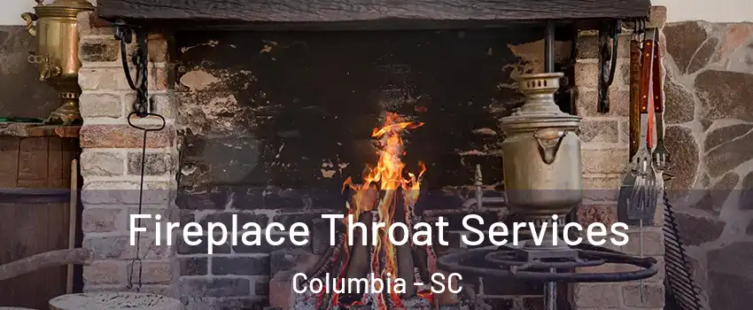  Fireplace Throat Services Columbia - SC