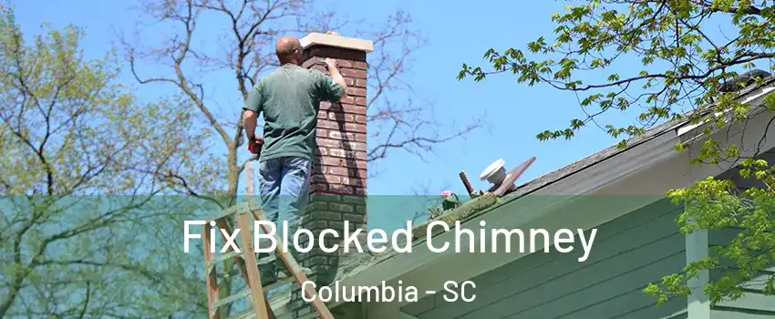  Fix Blocked Chimney Columbia - SC