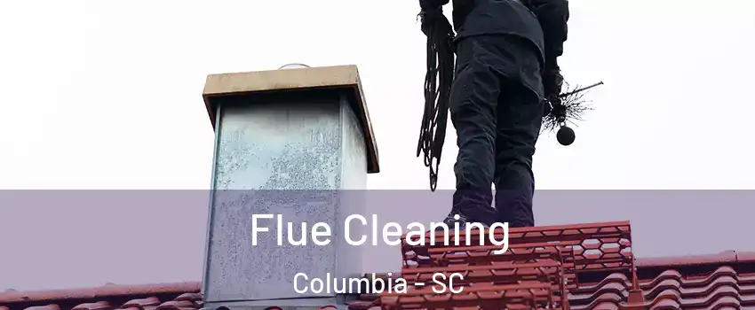  Flue Cleaning Columbia - SC