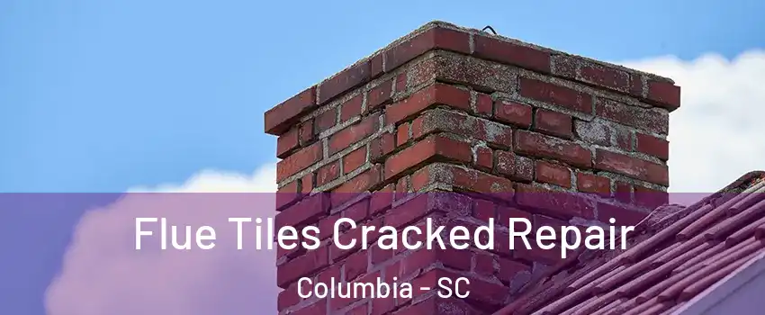  Flue Tiles Cracked Repair Columbia - SC
