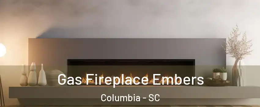  Gas Fireplace Embers Columbia - SC