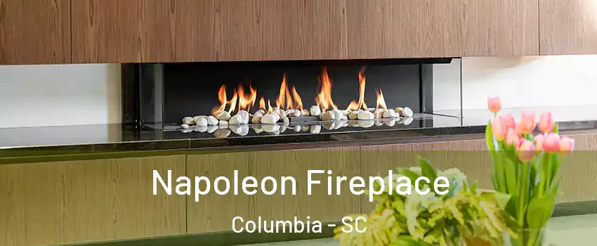  Napoleon Fireplace Columbia - SC