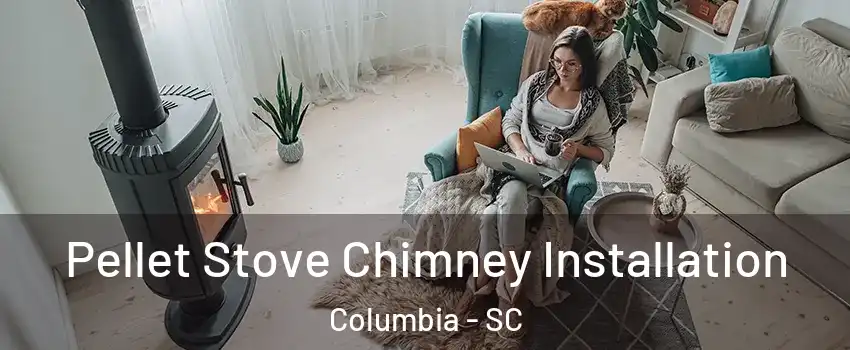  Pellet Stove Chimney Installation Columbia - SC